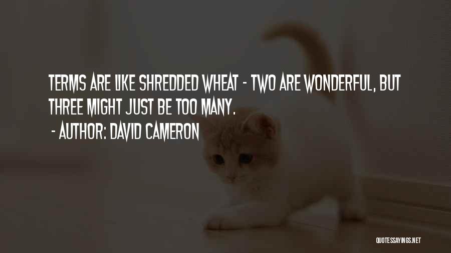 David Cameron Quotes: Terms Are Like Shredded Wheat - Two Are Wonderful, But Three Might Just Be Too Many.