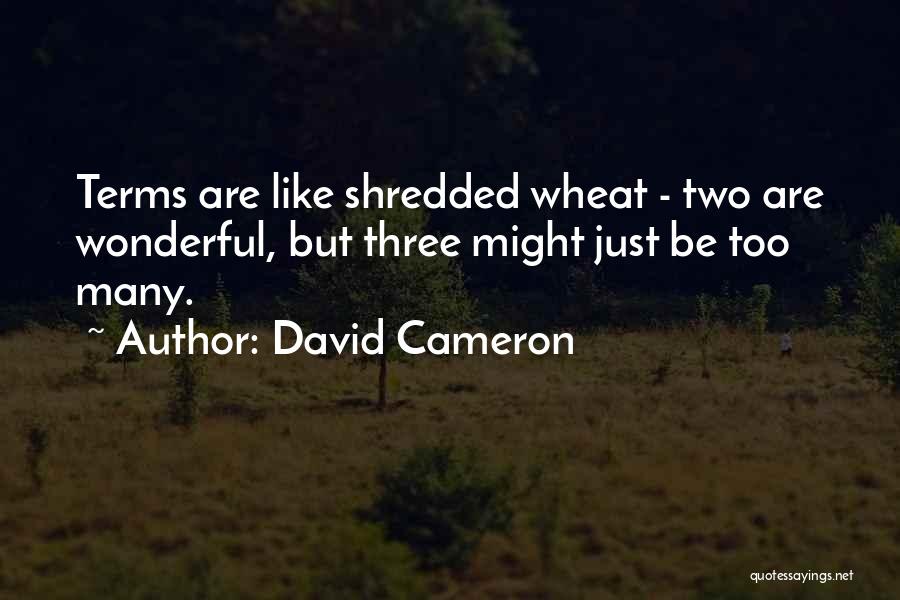 David Cameron Quotes: Terms Are Like Shredded Wheat - Two Are Wonderful, But Three Might Just Be Too Many.