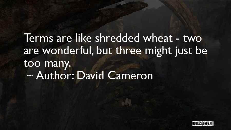 David Cameron Quotes: Terms Are Like Shredded Wheat - Two Are Wonderful, But Three Might Just Be Too Many.