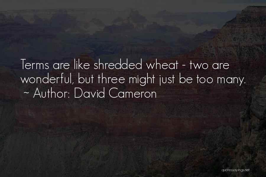 David Cameron Quotes: Terms Are Like Shredded Wheat - Two Are Wonderful, But Three Might Just Be Too Many.