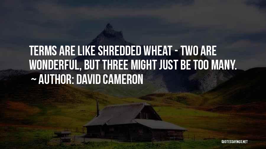 David Cameron Quotes: Terms Are Like Shredded Wheat - Two Are Wonderful, But Three Might Just Be Too Many.