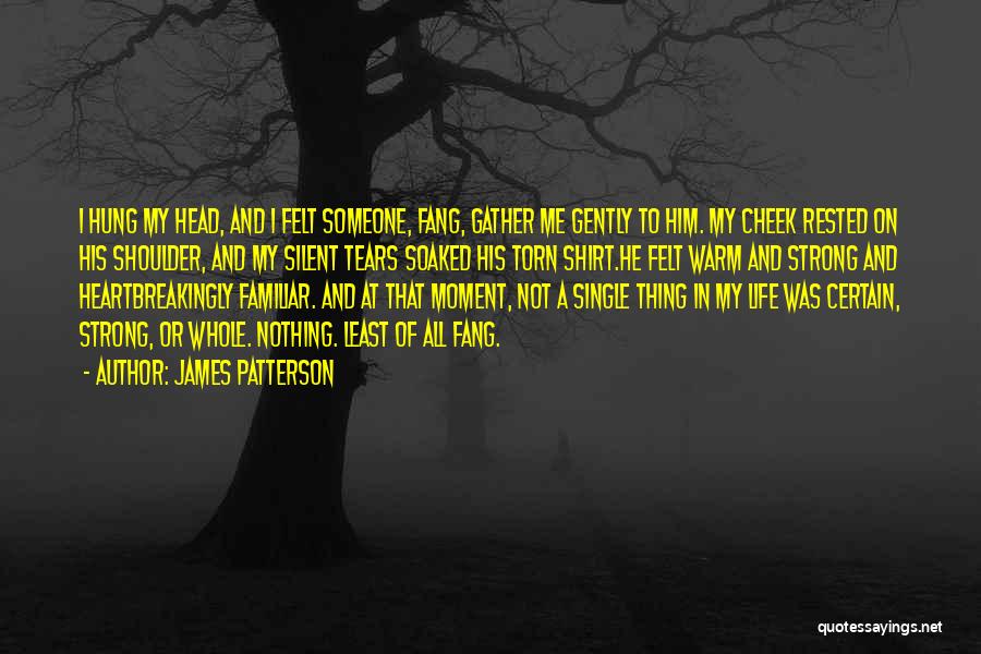 James Patterson Quotes: I Hung My Head, And I Felt Someone, Fang, Gather Me Gently To Him. My Cheek Rested On His Shoulder,
