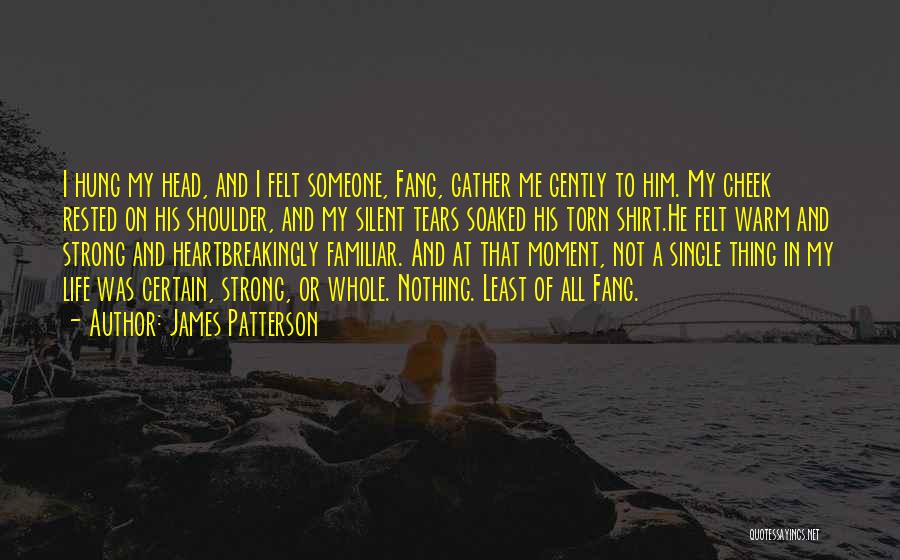 James Patterson Quotes: I Hung My Head, And I Felt Someone, Fang, Gather Me Gently To Him. My Cheek Rested On His Shoulder,