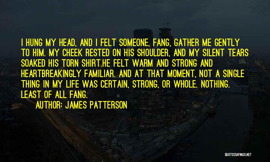 James Patterson Quotes: I Hung My Head, And I Felt Someone, Fang, Gather Me Gently To Him. My Cheek Rested On His Shoulder,