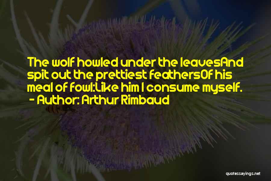 Arthur Rimbaud Quotes: The Wolf Howled Under The Leavesand Spit Out The Prettiest Feathersof His Meal Of Fowl:like Him I Consume Myself.