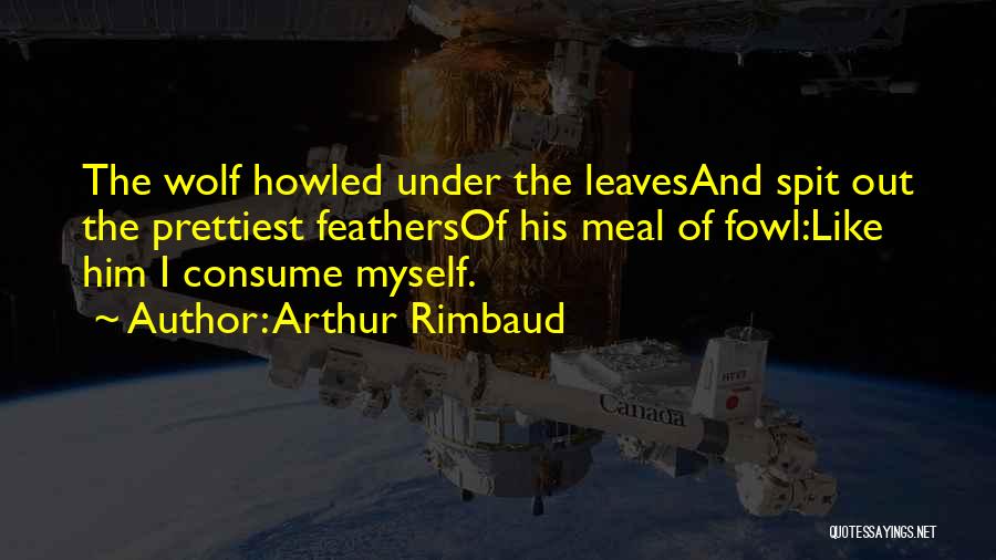 Arthur Rimbaud Quotes: The Wolf Howled Under The Leavesand Spit Out The Prettiest Feathersof His Meal Of Fowl:like Him I Consume Myself.