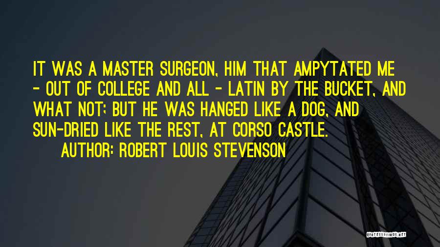 Robert Louis Stevenson Quotes: It Was A Master Surgeon, Him That Ampytated Me - Out Of College And All - Latin By The Bucket,