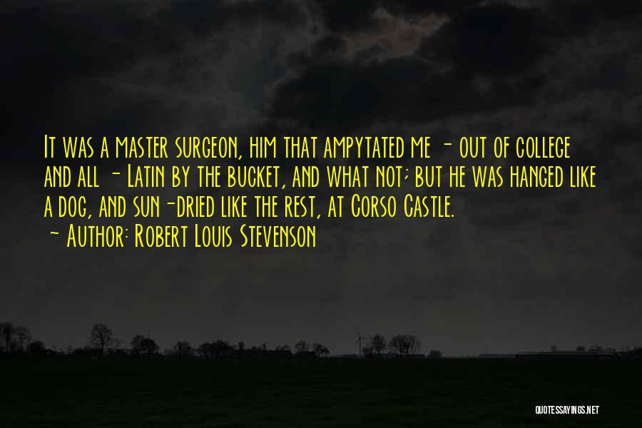 Robert Louis Stevenson Quotes: It Was A Master Surgeon, Him That Ampytated Me - Out Of College And All - Latin By The Bucket,