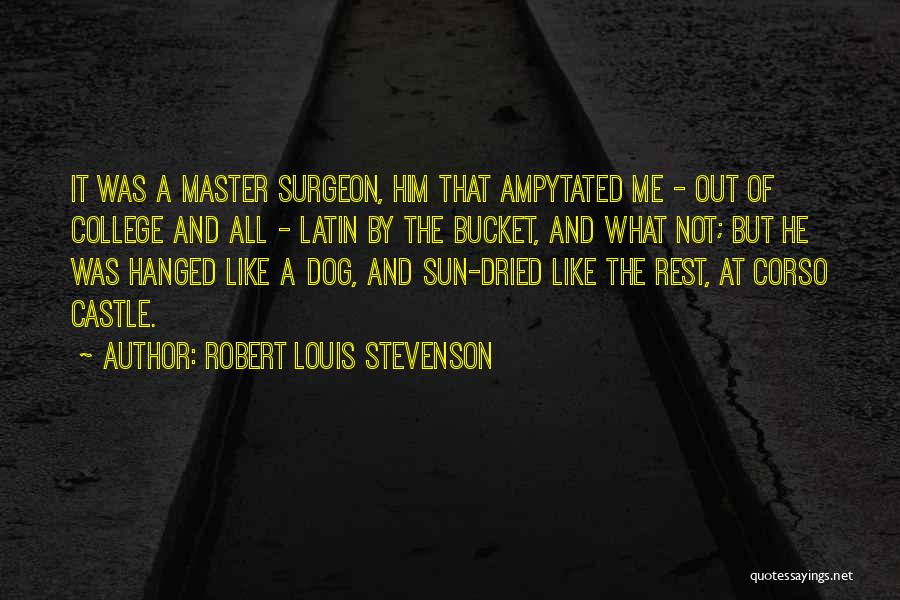 Robert Louis Stevenson Quotes: It Was A Master Surgeon, Him That Ampytated Me - Out Of College And All - Latin By The Bucket,