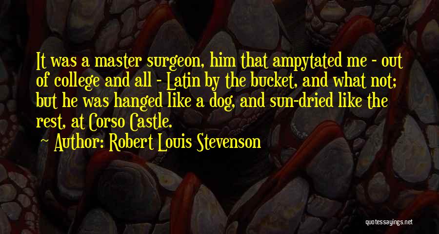 Robert Louis Stevenson Quotes: It Was A Master Surgeon, Him That Ampytated Me - Out Of College And All - Latin By The Bucket,
