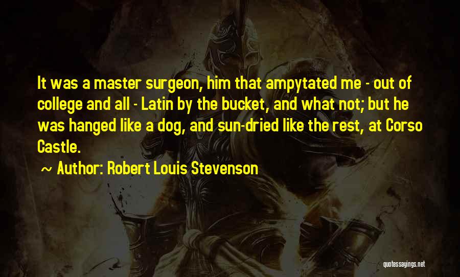 Robert Louis Stevenson Quotes: It Was A Master Surgeon, Him That Ampytated Me - Out Of College And All - Latin By The Bucket,