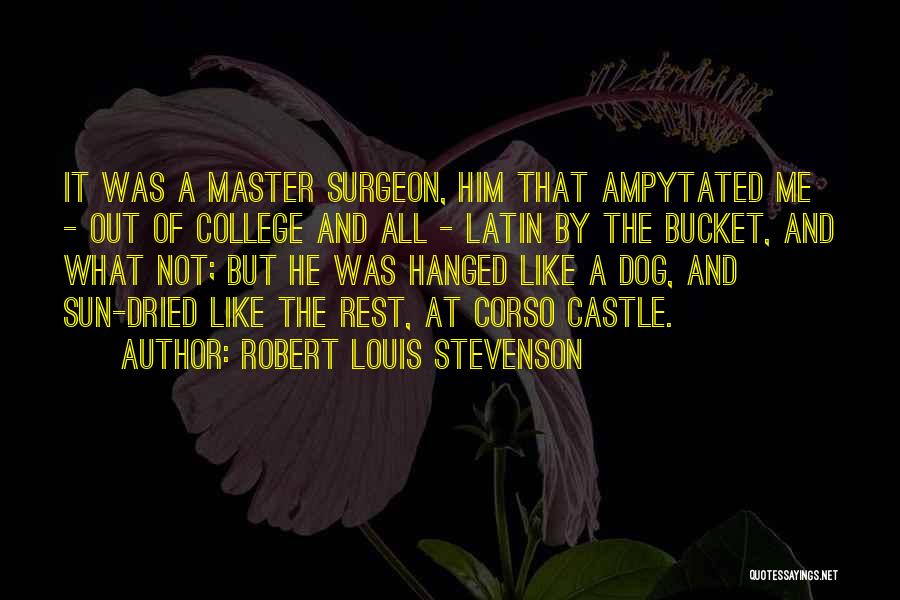 Robert Louis Stevenson Quotes: It Was A Master Surgeon, Him That Ampytated Me - Out Of College And All - Latin By The Bucket,