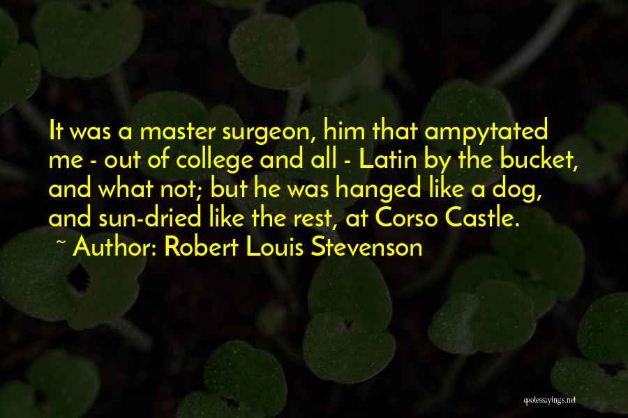 Robert Louis Stevenson Quotes: It Was A Master Surgeon, Him That Ampytated Me - Out Of College And All - Latin By The Bucket,