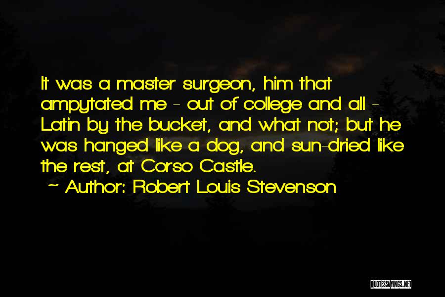 Robert Louis Stevenson Quotes: It Was A Master Surgeon, Him That Ampytated Me - Out Of College And All - Latin By The Bucket,