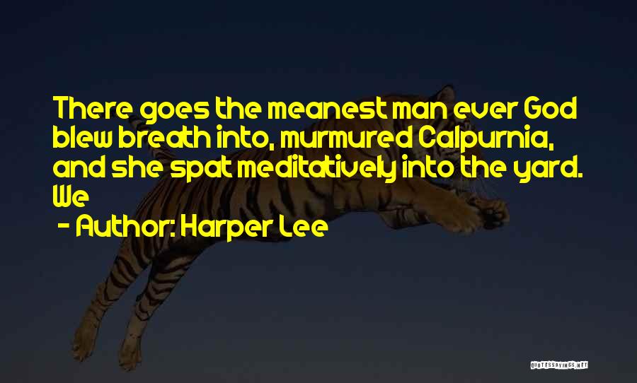 Harper Lee Quotes: There Goes The Meanest Man Ever God Blew Breath Into, Murmured Calpurnia, And She Spat Meditatively Into The Yard. We