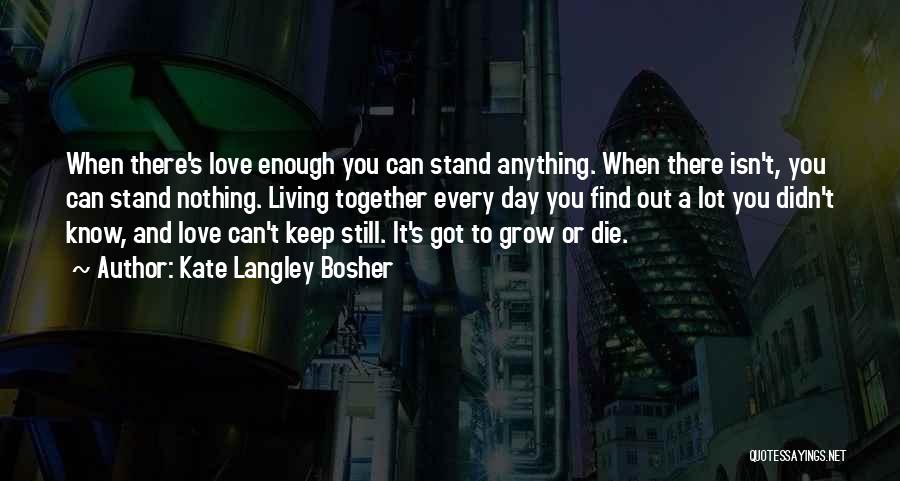 Kate Langley Bosher Quotes: When There's Love Enough You Can Stand Anything. When There Isn't, You Can Stand Nothing. Living Together Every Day You
