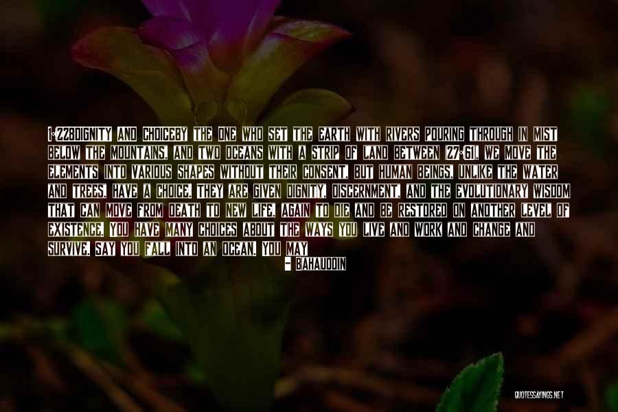 228 Quotes By Bahauddin 228 Quotes By Bahauddin
