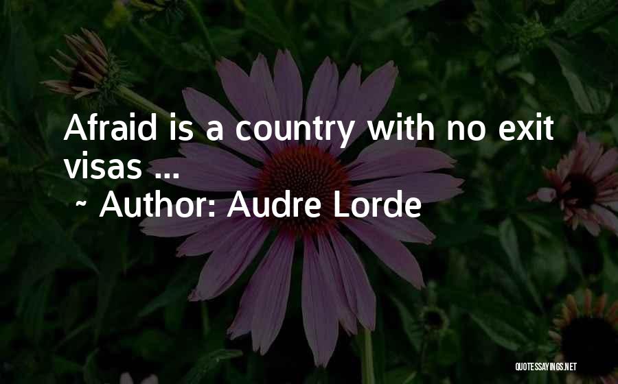 Audre Lorde Quotes: Afraid Is A Country With No Exit Visas ...