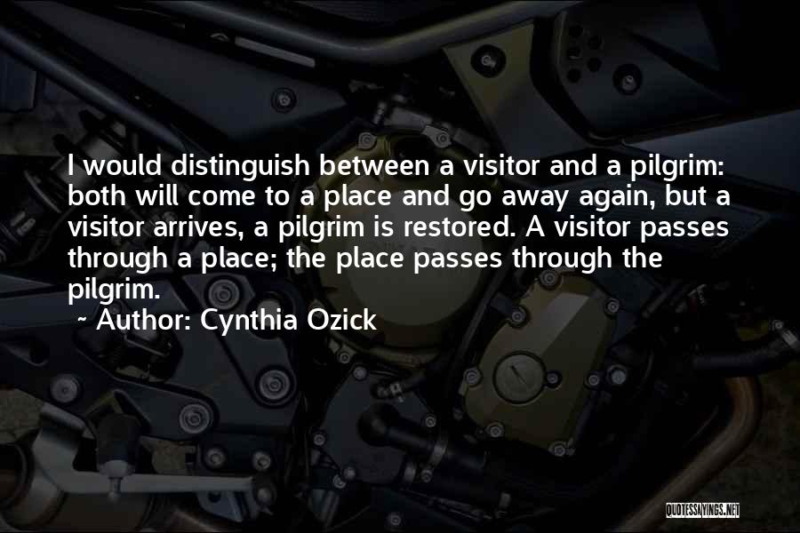 Cynthia Ozick Quotes: I Would Distinguish Between A Visitor And A Pilgrim: Both Will Come To A Place And Go Away Again, But