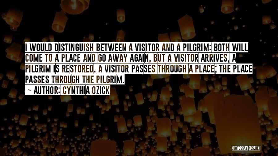 Cynthia Ozick Quotes: I Would Distinguish Between A Visitor And A Pilgrim: Both Will Come To A Place And Go Away Again, But