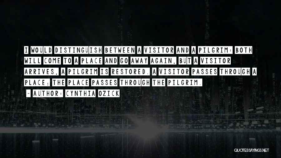 Cynthia Ozick Quotes: I Would Distinguish Between A Visitor And A Pilgrim: Both Will Come To A Place And Go Away Again, But