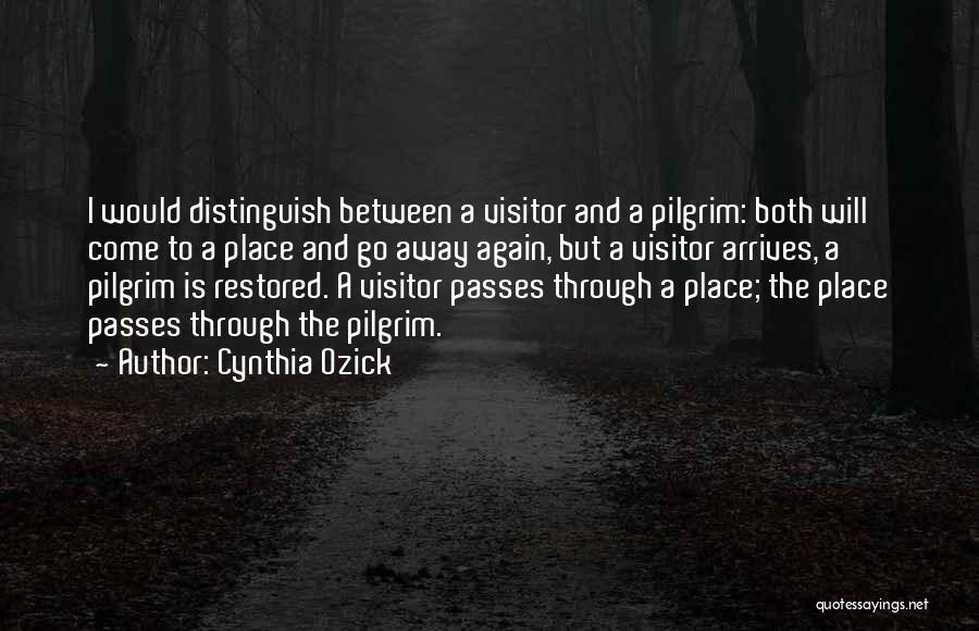 Cynthia Ozick Quotes: I Would Distinguish Between A Visitor And A Pilgrim: Both Will Come To A Place And Go Away Again, But