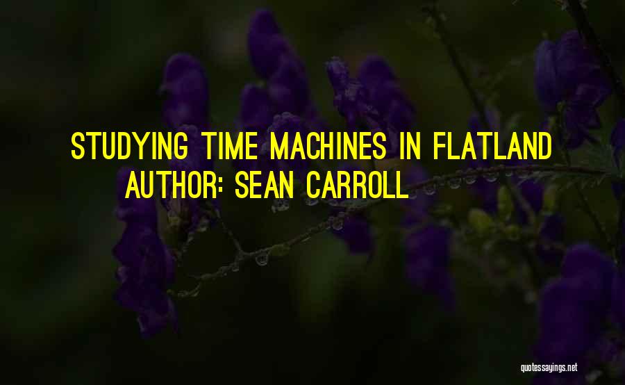 Sean Carroll Quotes: Studying Time Machines In Flatland