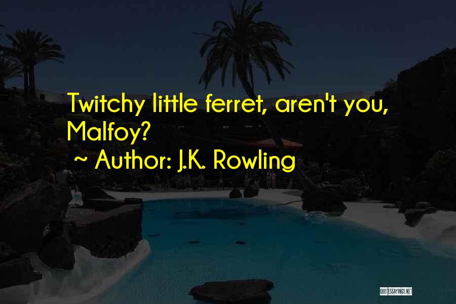 J.K. Rowling Quotes: Twitchy Little Ferret, Aren't You, Malfoy?