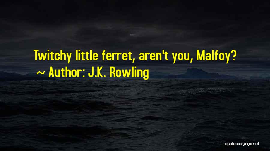 J.K. Rowling Quotes: Twitchy Little Ferret, Aren't You, Malfoy?