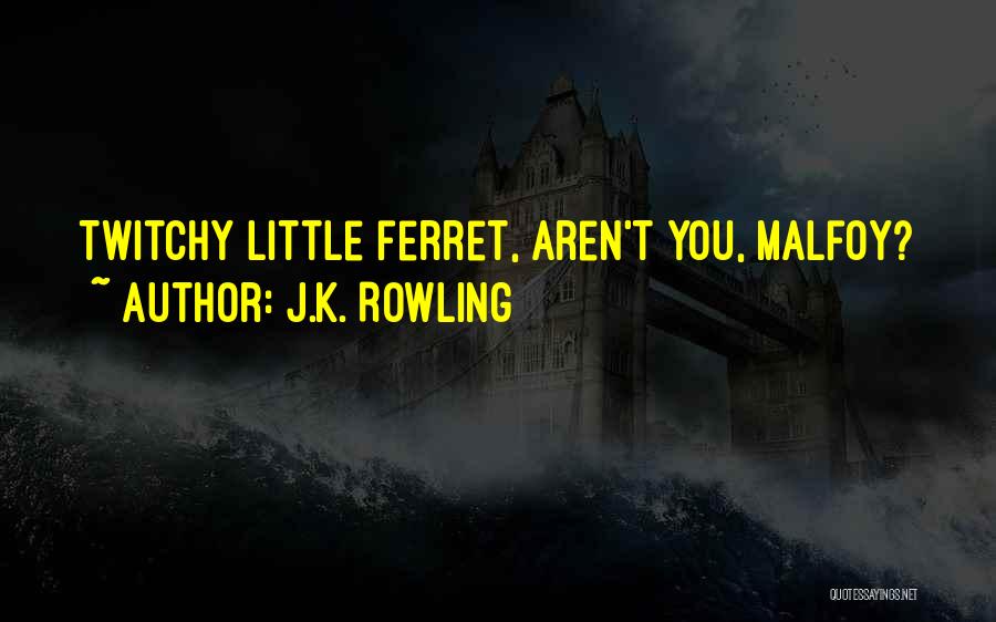 J.K. Rowling Quotes: Twitchy Little Ferret, Aren't You, Malfoy?