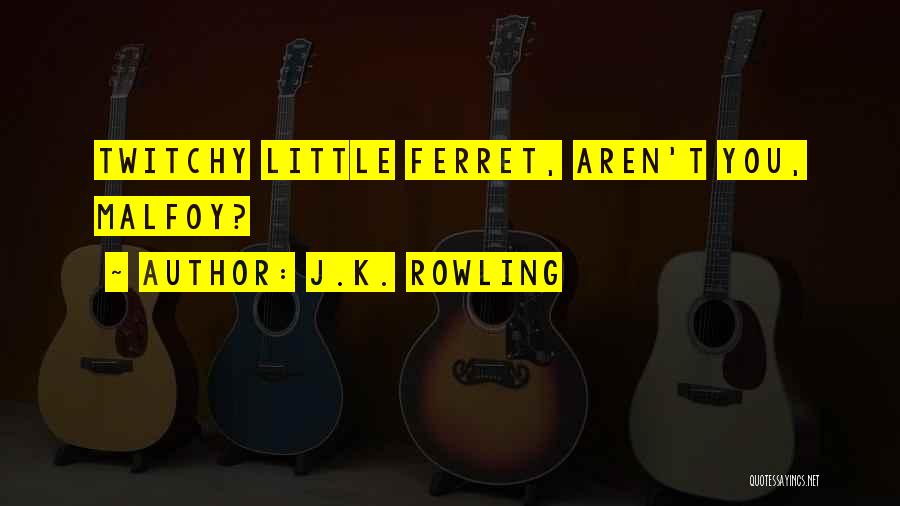 J.K. Rowling Quotes: Twitchy Little Ferret, Aren't You, Malfoy?