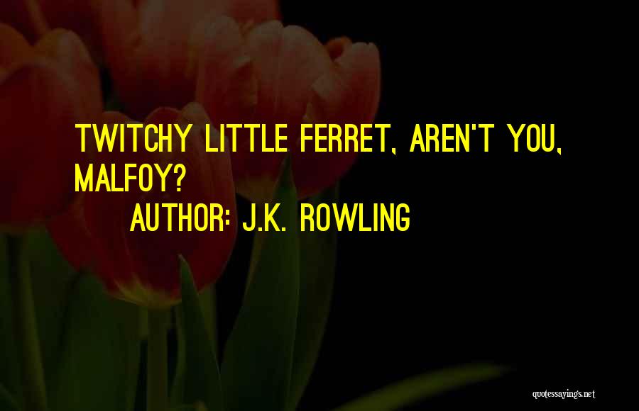 J.K. Rowling Quotes: Twitchy Little Ferret, Aren't You, Malfoy?