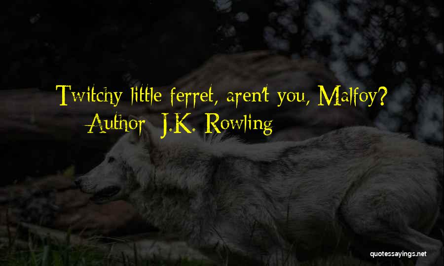 J.K. Rowling Quotes: Twitchy Little Ferret, Aren't You, Malfoy?