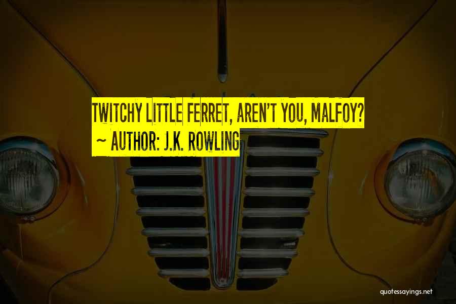 J.K. Rowling Quotes: Twitchy Little Ferret, Aren't You, Malfoy?