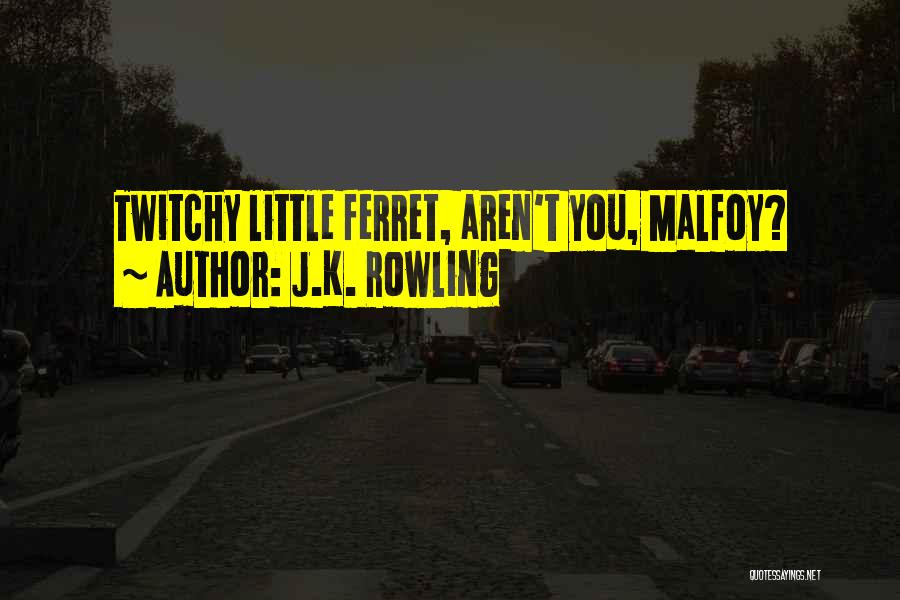 J.K. Rowling Quotes: Twitchy Little Ferret, Aren't You, Malfoy?