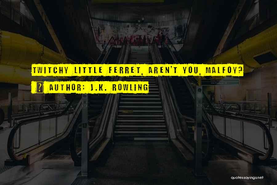 J.K. Rowling Quotes: Twitchy Little Ferret, Aren't You, Malfoy?