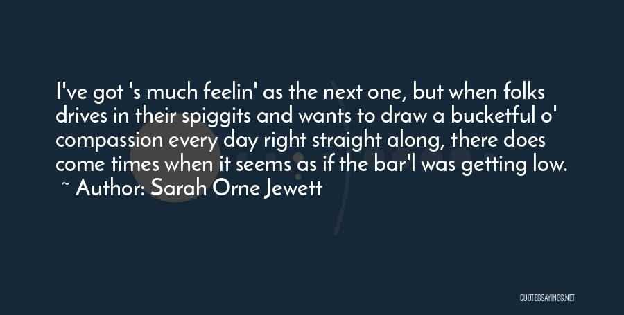 Sarah Orne Jewett Quotes: I've Got 's Much Feelin' As The Next One, But When Folks Drives In Their Spiggits And Wants To Draw