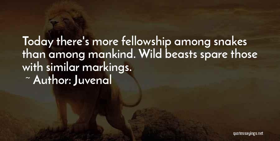 Juvenal Quotes: Today There's More Fellowship Among Snakes Than Among Mankind. Wild Beasts Spare Those With Similar Markings.