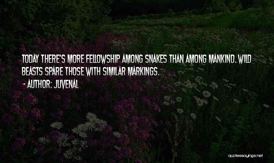 Juvenal Quotes: Today There's More Fellowship Among Snakes Than Among Mankind. Wild Beasts Spare Those With Similar Markings.