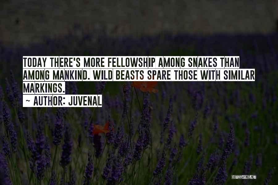 Juvenal Quotes: Today There's More Fellowship Among Snakes Than Among Mankind. Wild Beasts Spare Those With Similar Markings.