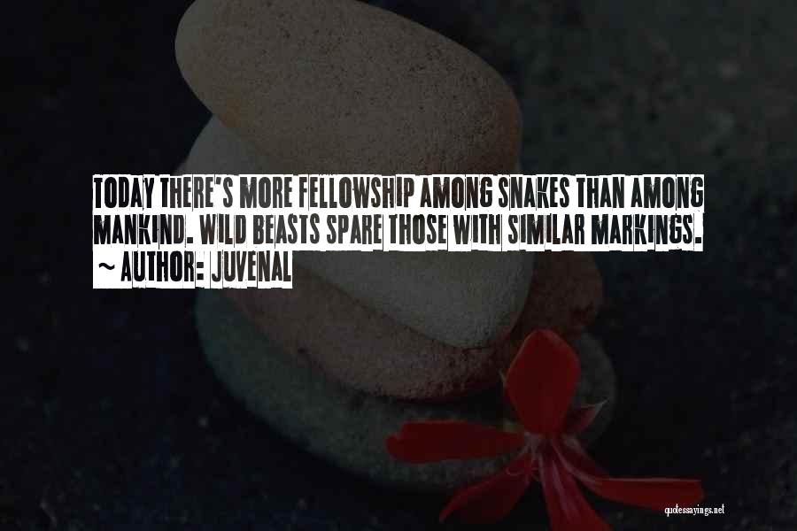 Juvenal Quotes: Today There's More Fellowship Among Snakes Than Among Mankind. Wild Beasts Spare Those With Similar Markings.