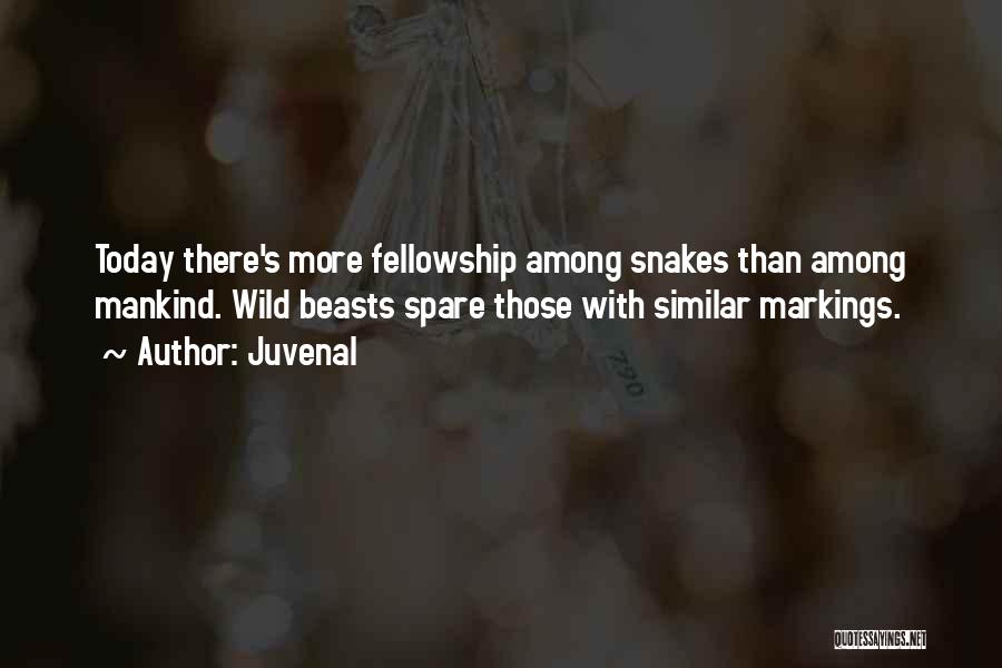 Juvenal Quotes: Today There's More Fellowship Among Snakes Than Among Mankind. Wild Beasts Spare Those With Similar Markings.