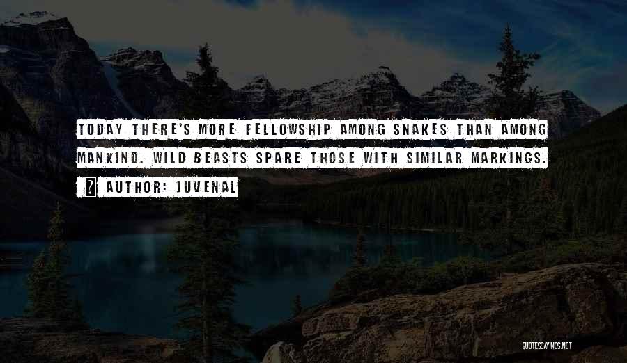 Juvenal Quotes: Today There's More Fellowship Among Snakes Than Among Mankind. Wild Beasts Spare Those With Similar Markings.