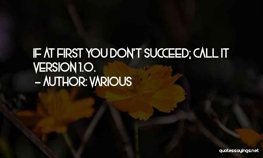 Various Quotes: If At First You Don't Succeed; Call It Version 1.0.