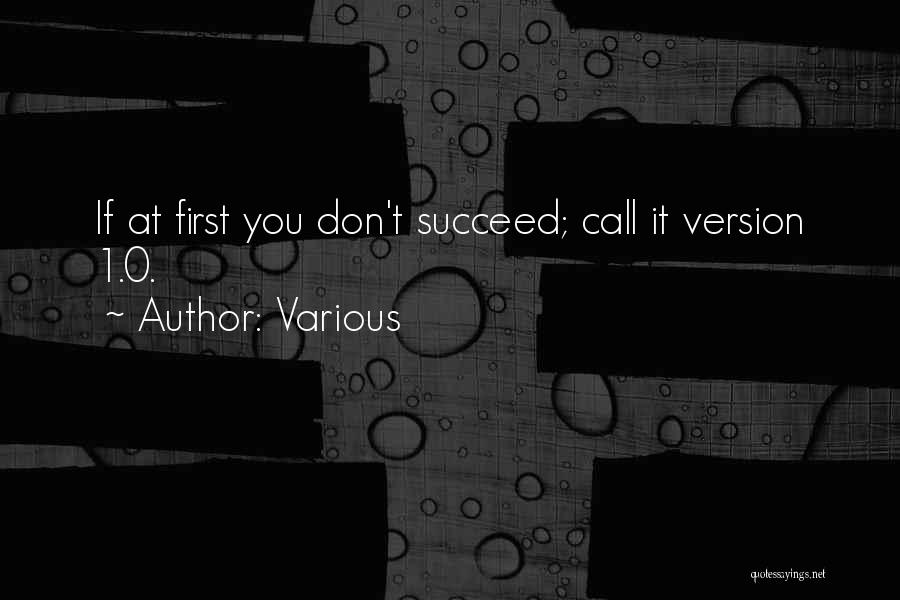 Various Quotes: If At First You Don't Succeed; Call It Version 1.0.