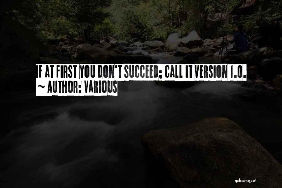 Various Quotes: If At First You Don't Succeed; Call It Version 1.0.