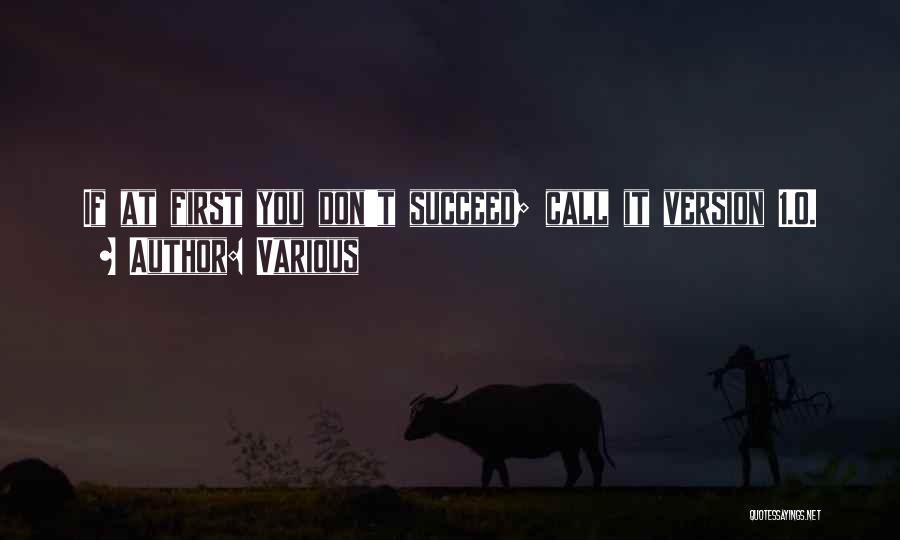 Various Quotes: If At First You Don't Succeed; Call It Version 1.0.