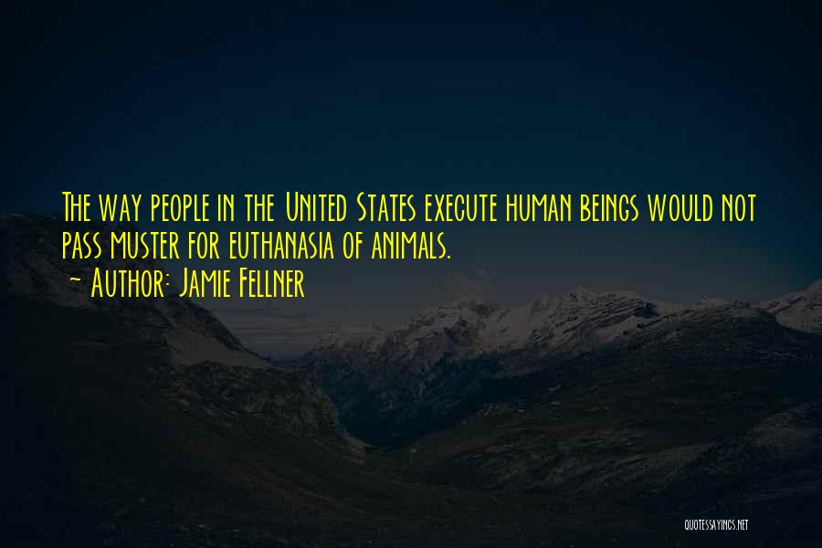 Jamie Fellner Quotes: The Way People In The United States Execute Human Beings Would Not Pass Muster For Euthanasia Of Animals.