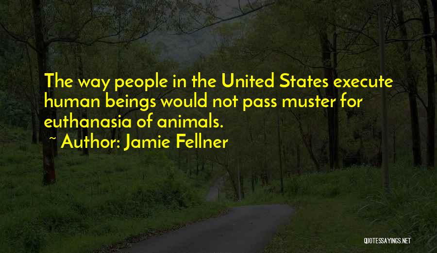 Jamie Fellner Quotes: The Way People In The United States Execute Human Beings Would Not Pass Muster For Euthanasia Of Animals.