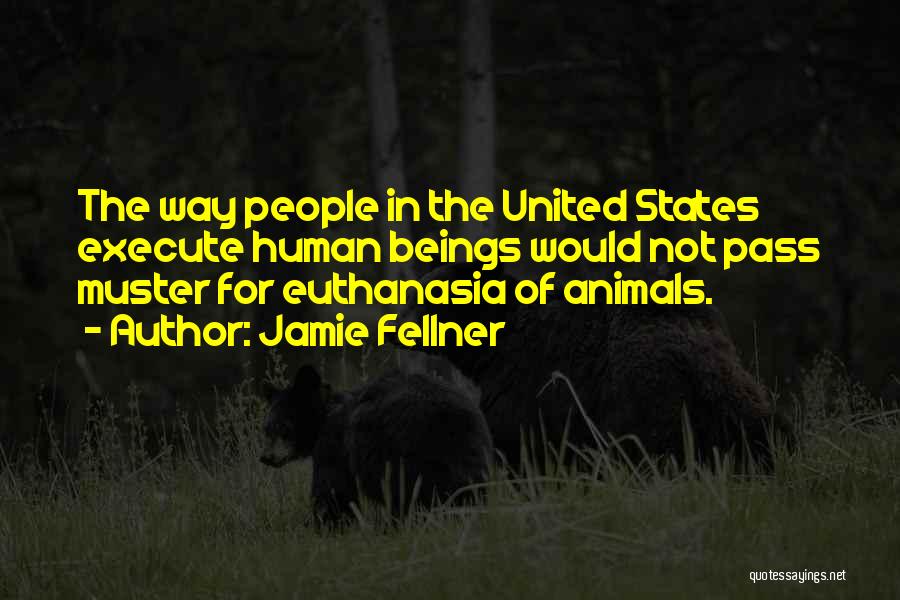 Jamie Fellner Quotes: The Way People In The United States Execute Human Beings Would Not Pass Muster For Euthanasia Of Animals.